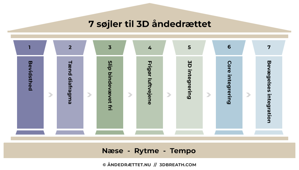 7 søjler til 3D åndedrættet